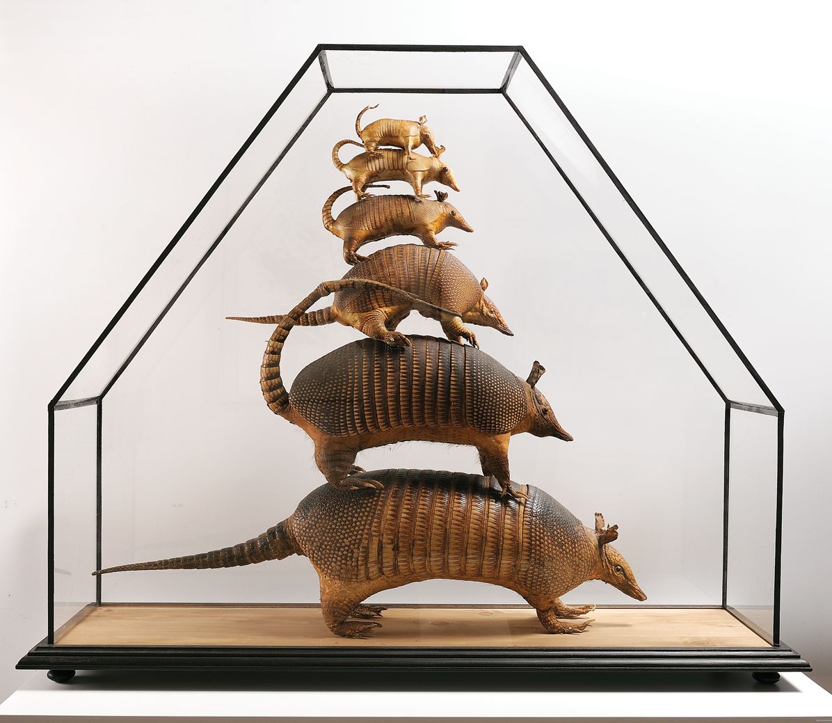 Jan Svankmajer: Dimensions of Dialogue: Between Film and Fine Art