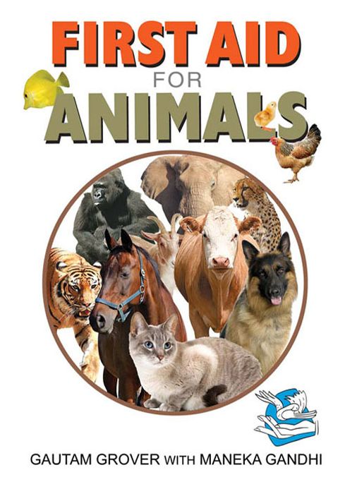 First Aid For Animals
