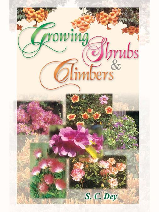 Growing Shrubs and Climbers: Nil