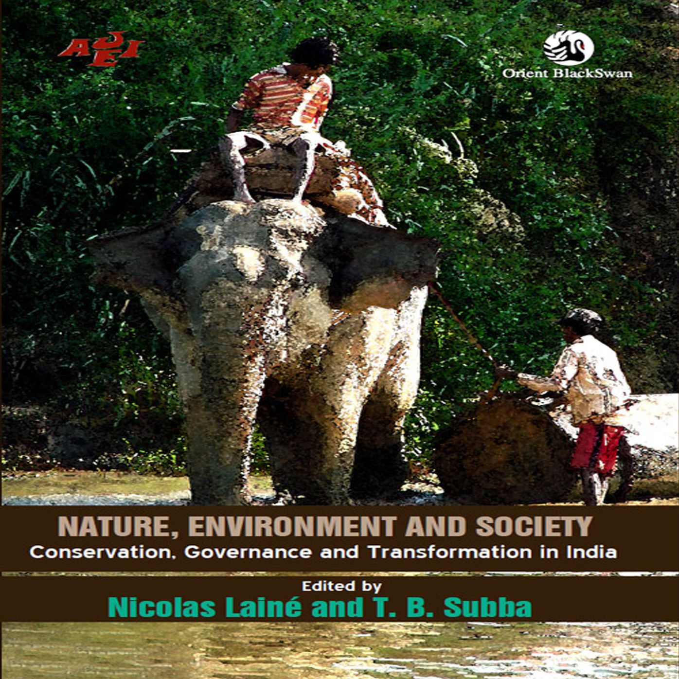 Nature, Environment and Society: Conservation, Governance and Transformation in India