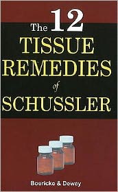 The Twelve Tissue Remedies of Schnssler