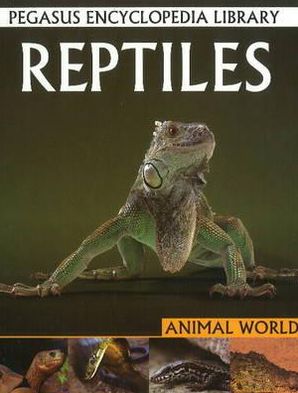 Reptilesanimal World