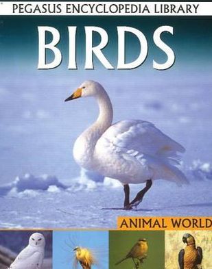 Birdsanimal World