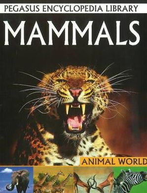 Mammalsanimal World