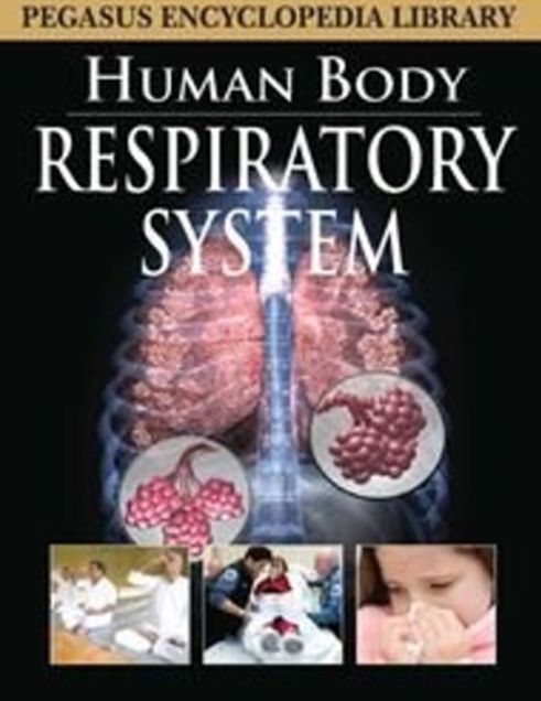 Respiratory Systemhuman Body