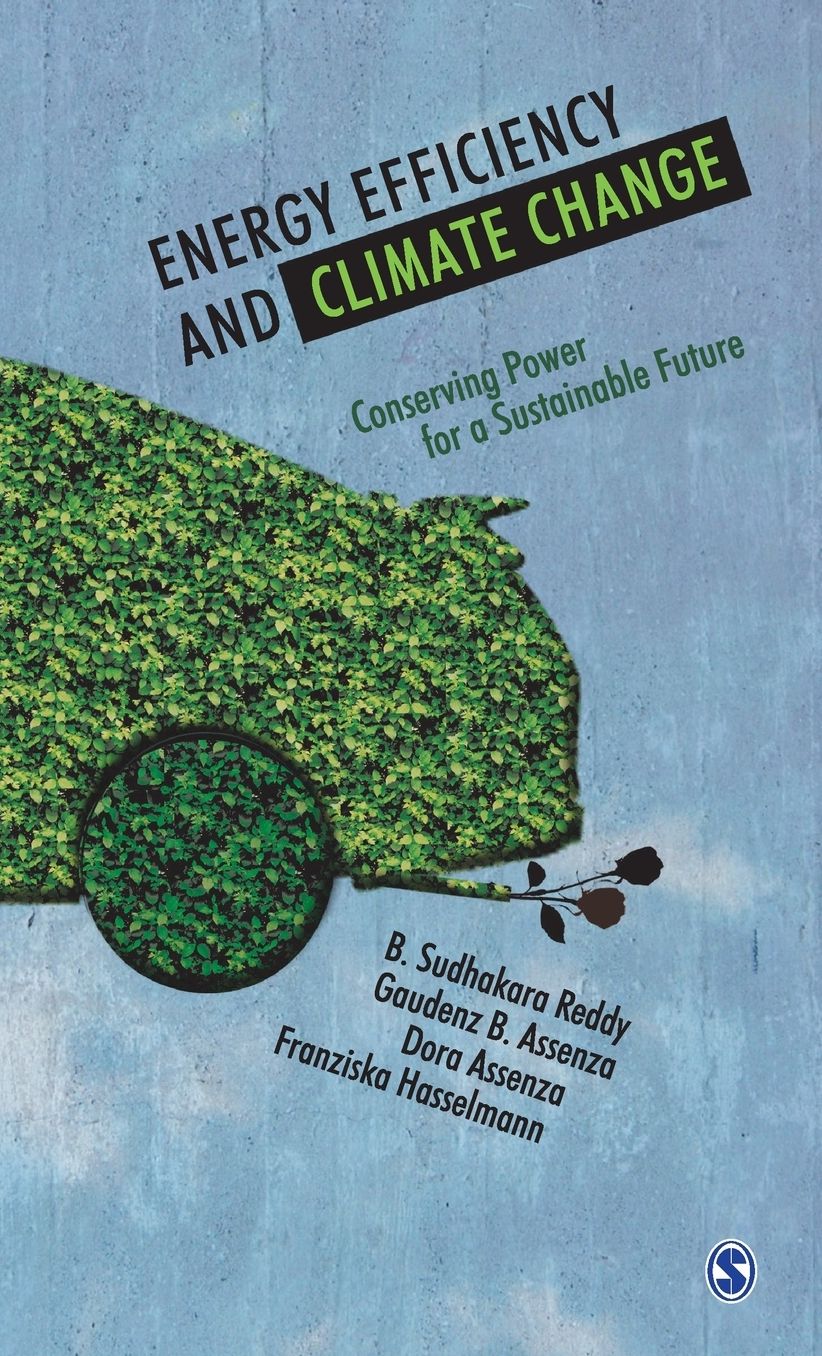 Energy Efficiency and Climate Change: Conserving Power for a Sustainable Future