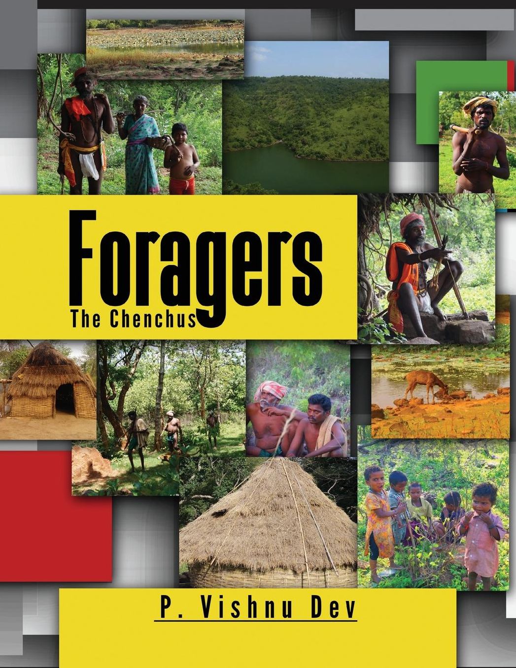 Foragers: The Chenchus