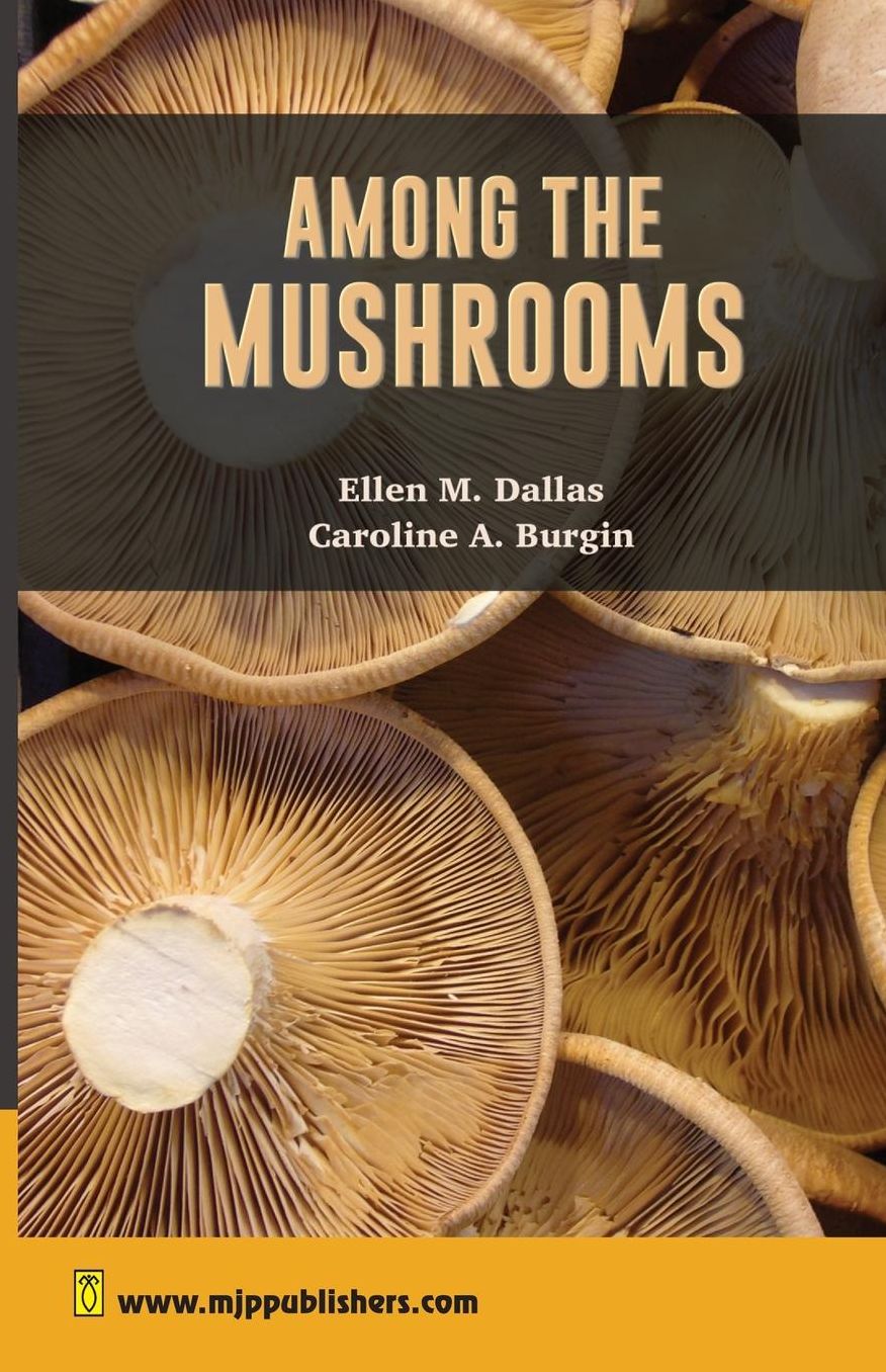 Among The Mushrooms: A Guide for Beginners