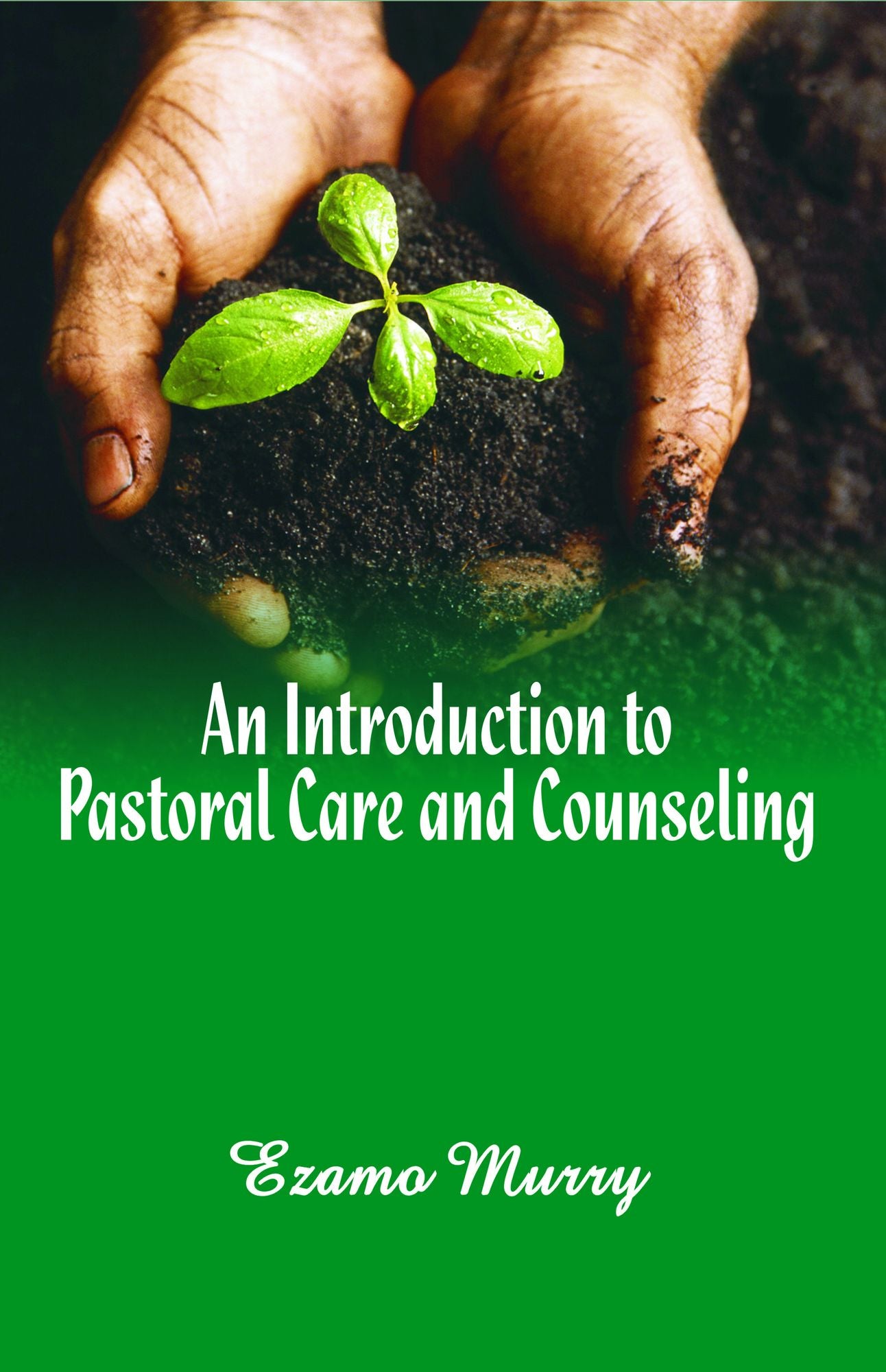 An Introduction to Pastoral Care and Counseling