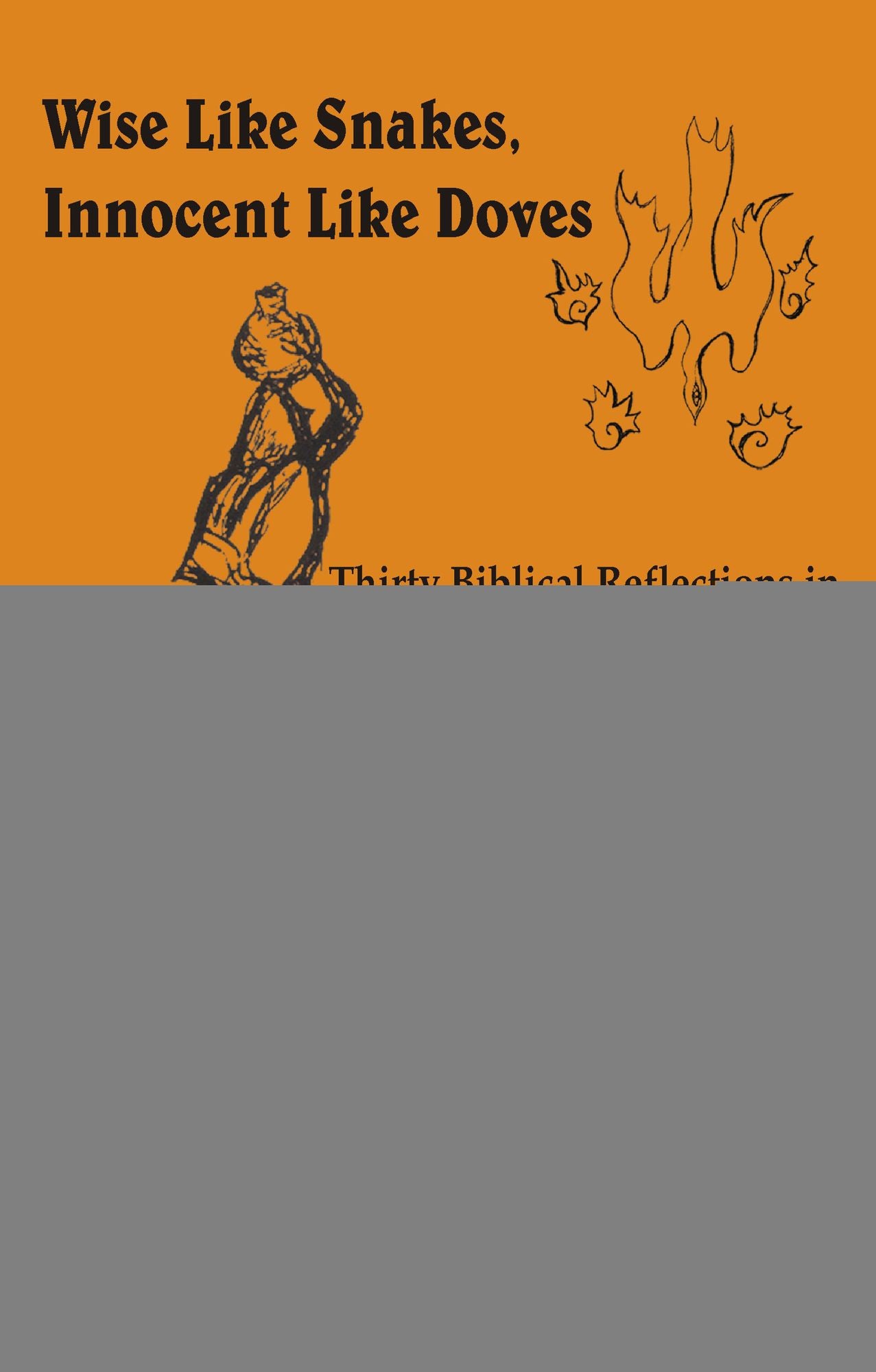 Wise Like Snakes, Innocent Like Doves: Thirty Biblical Reflections in Feminist Perspective