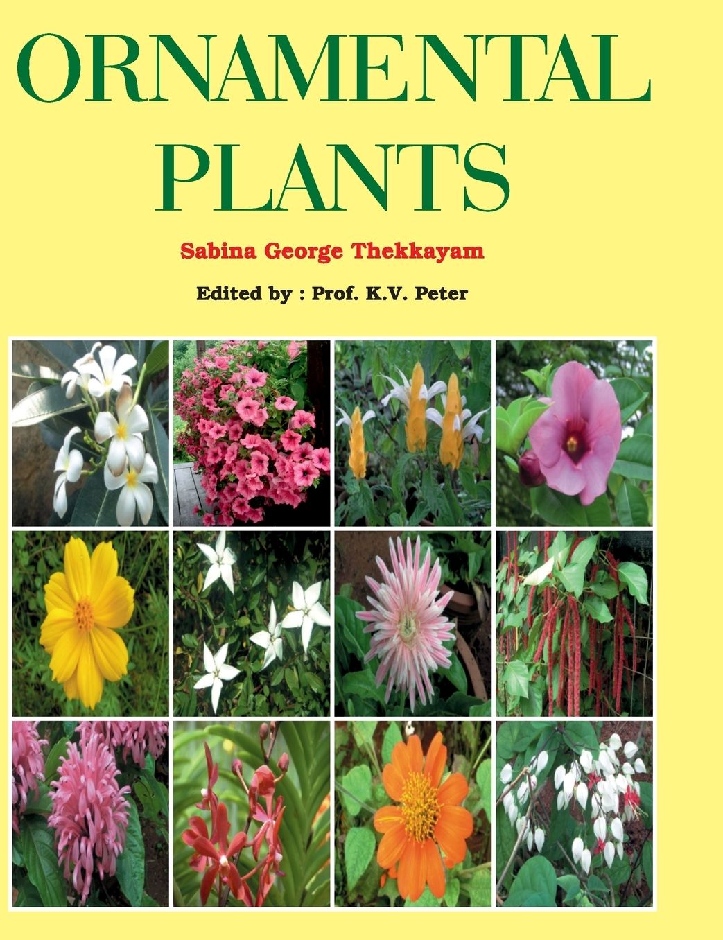 Ornamental Plants