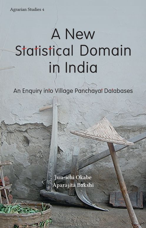 A New Statistical Domain in India: An Enquiry Into Village Panchayat Databases