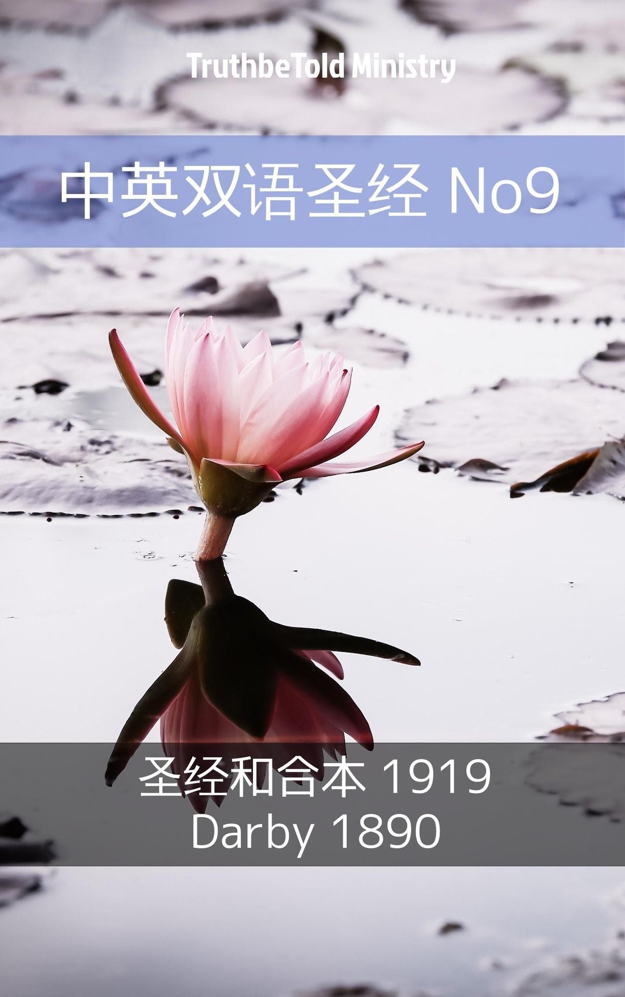 ??????"? No9: ??"??'??? 1919 - Darby 1890