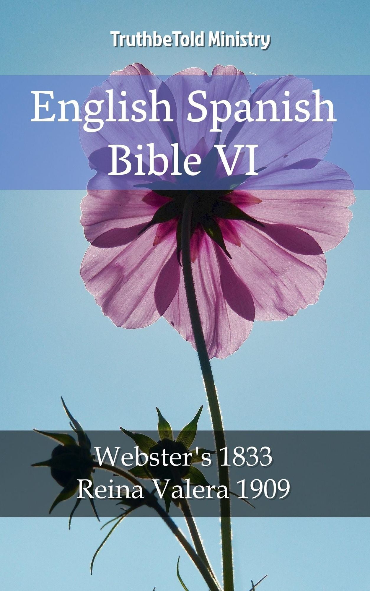 English Spanish Bible VI: Webster´s 1833 - Reina Valera 1909