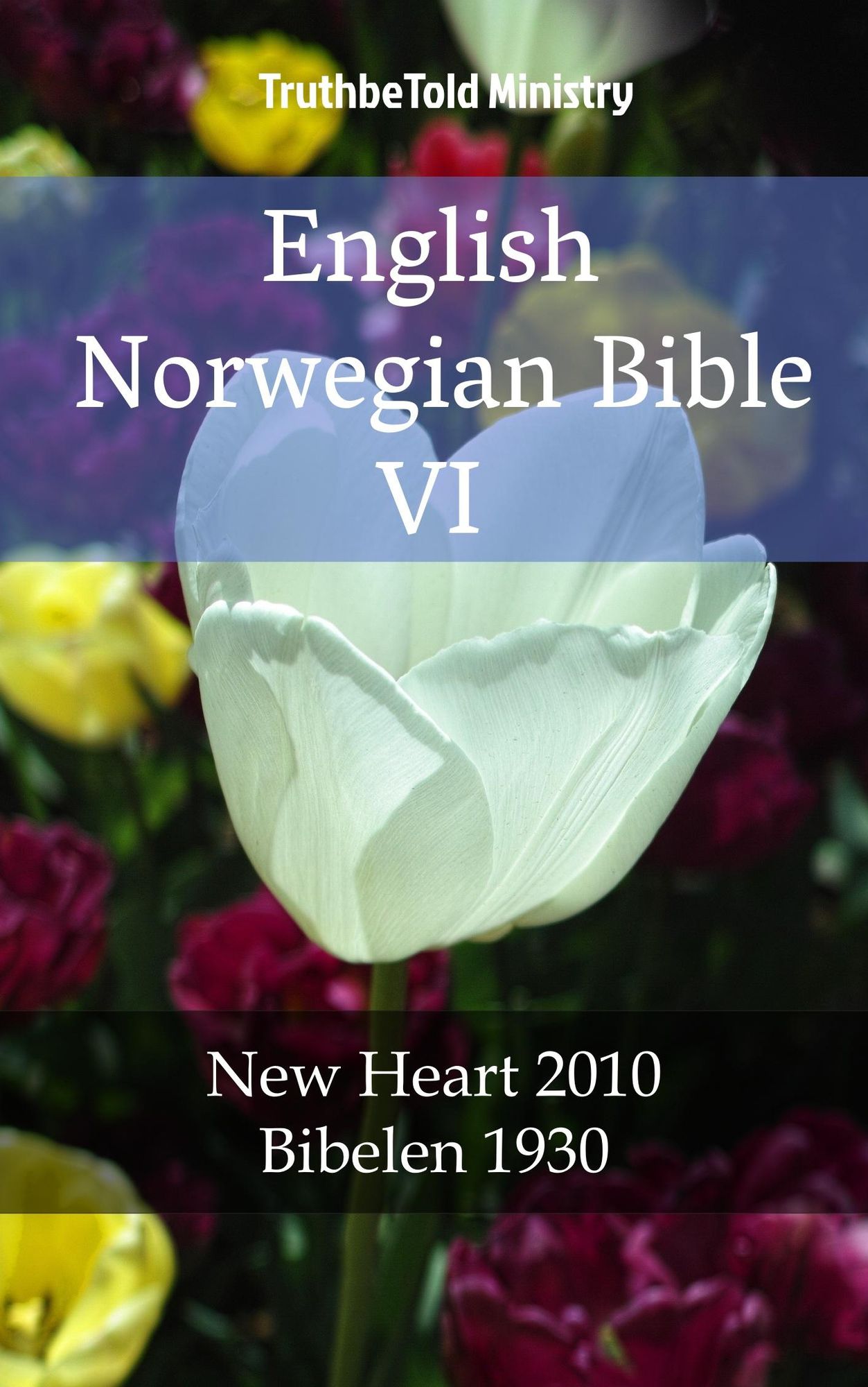 English Norwegian Bible VI: New Heart 2010 - Bibelen 1930