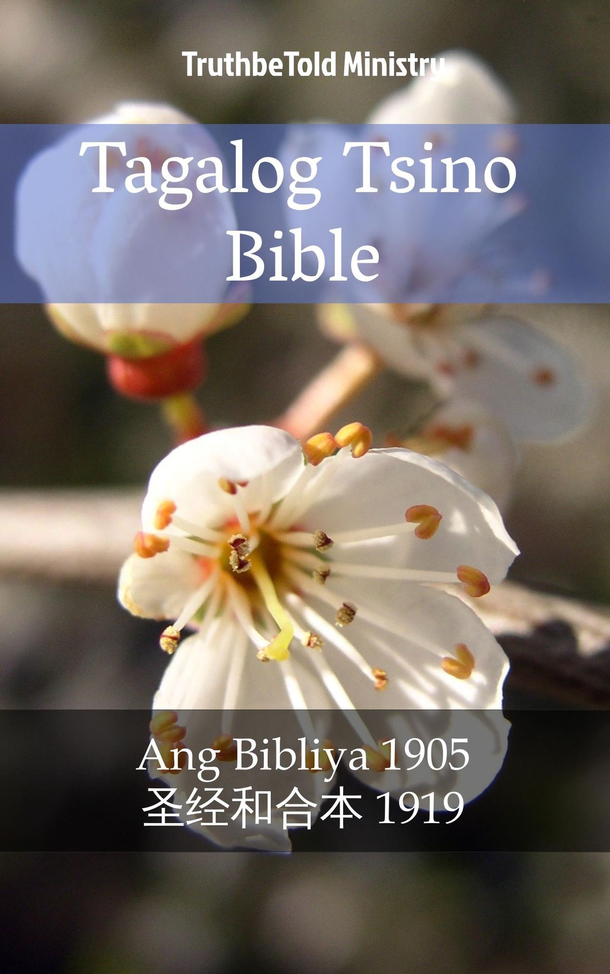 Tagalog Tsino Bible: Ang Bibliya 1905 - ??"??'??? 1919