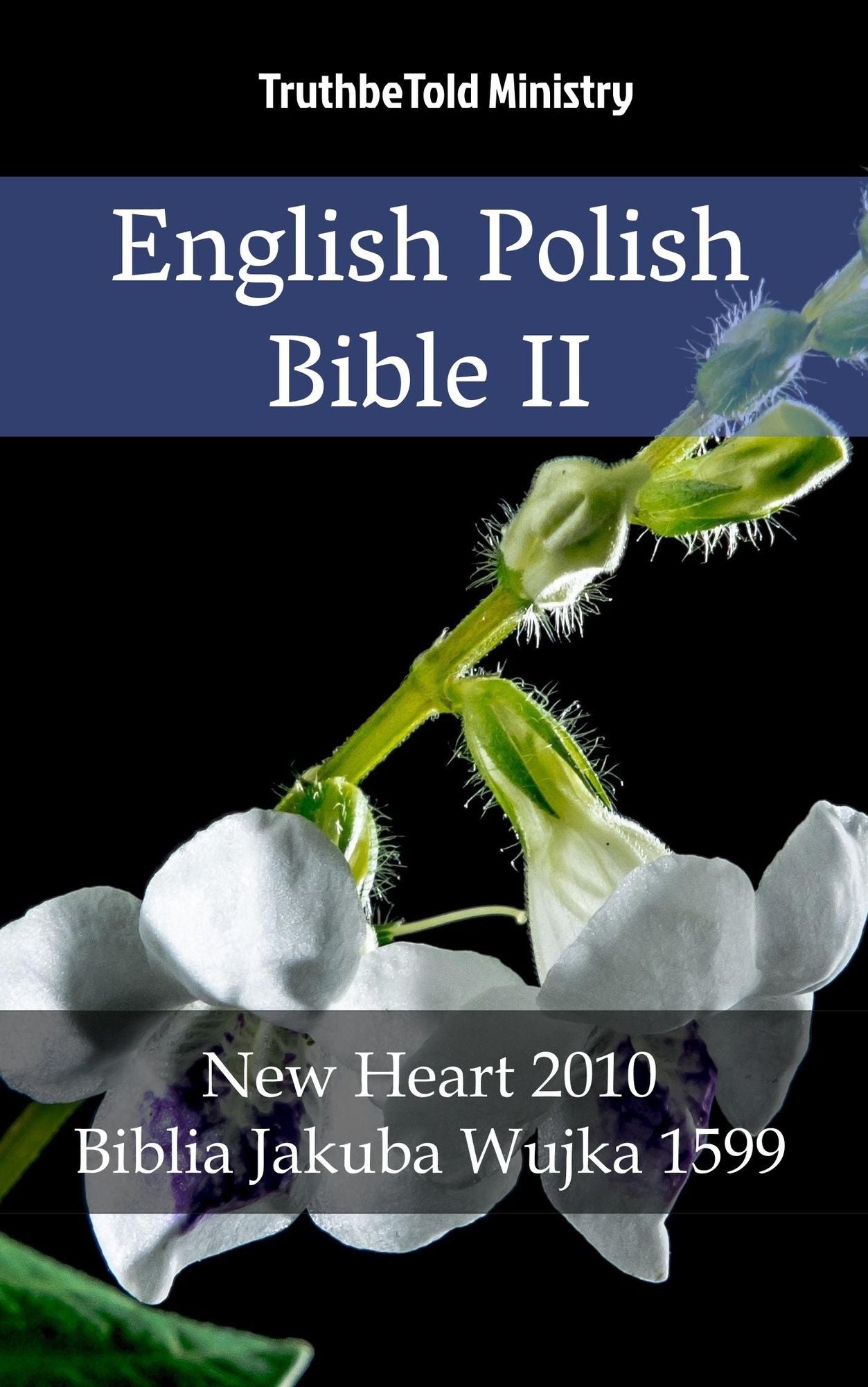 English Polish Bible II: New Heart 2010 - Biblia Jakuba Wujka 1599