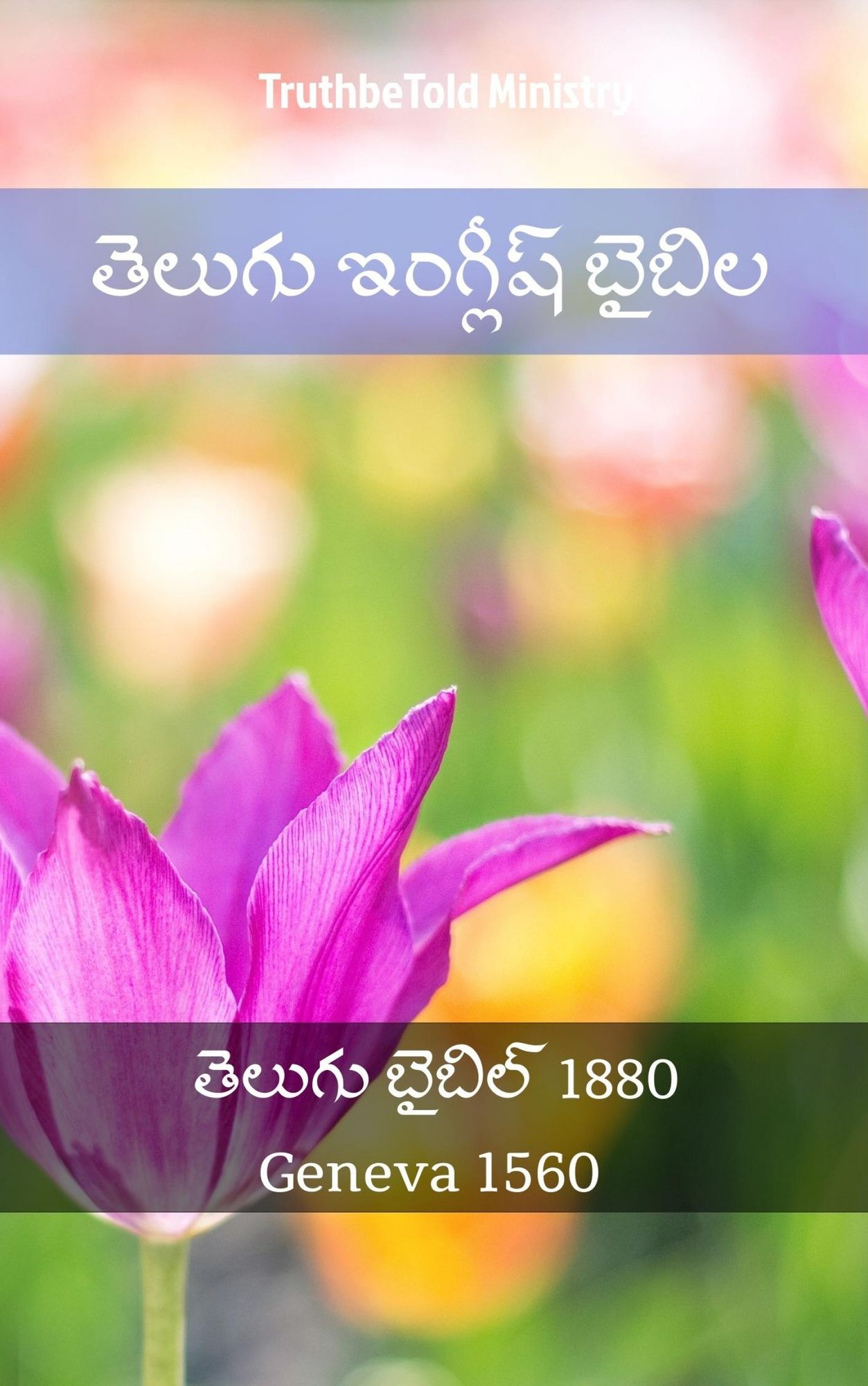 ?????? ???????? ??????: ?????? ?????? 1880 - Geneva 1560