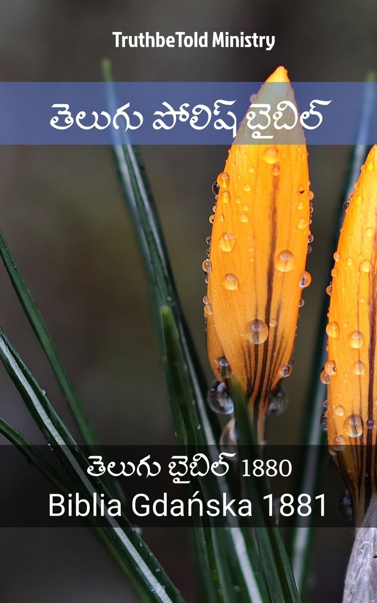 ?????? ?????? ??????: ?????? ?????? 1880 - Biblia Gdanska 1881