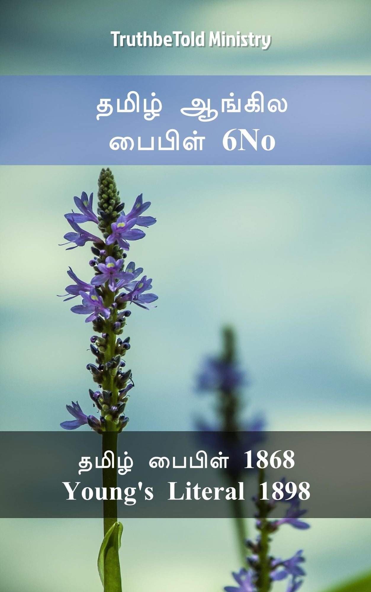 ????? ?????? ?????? 6No: ????? ?????? 1868 - Young´s Literal 1898