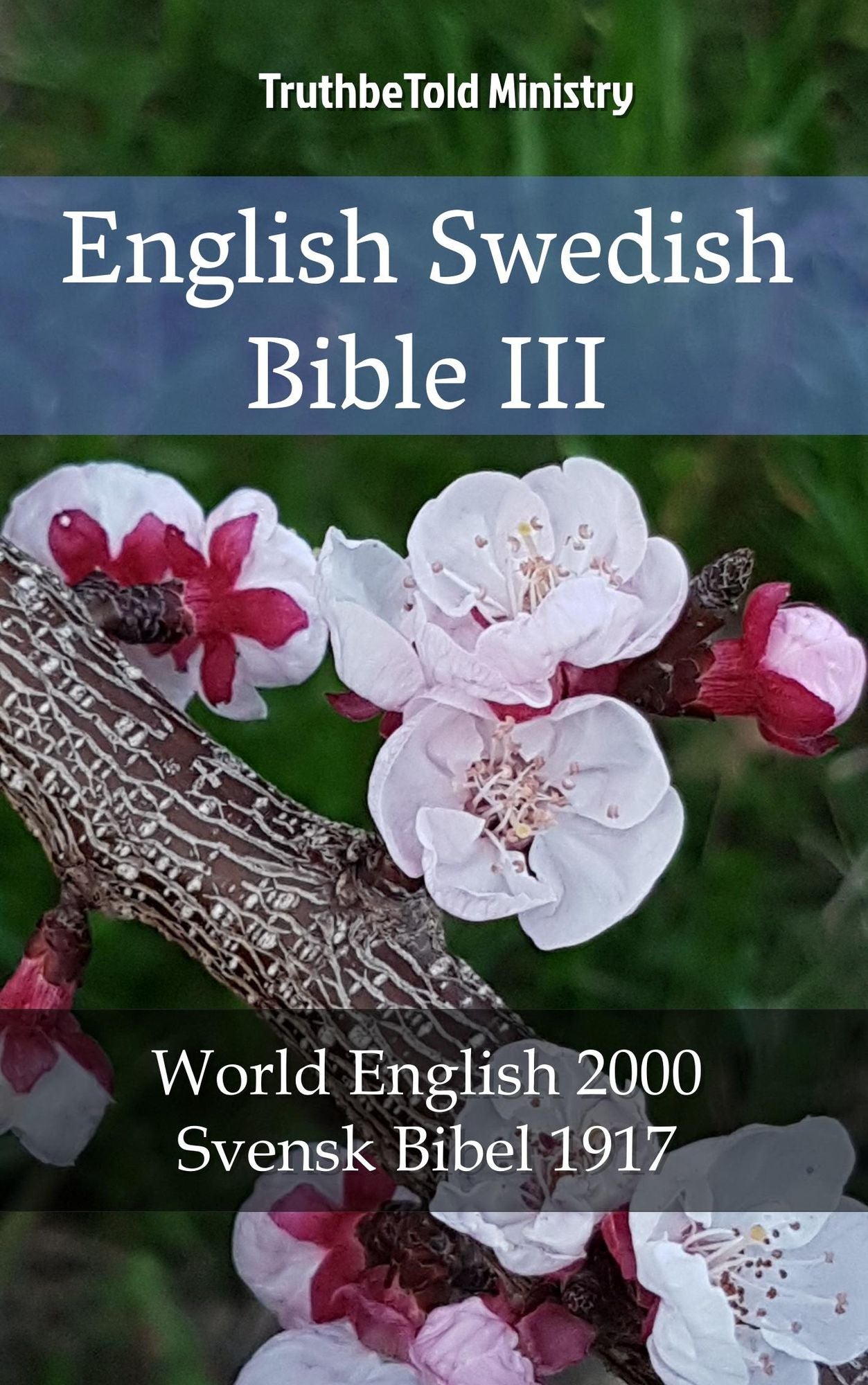 English Swedish Bible III: World English 2000 - Svensk Bibel 1917