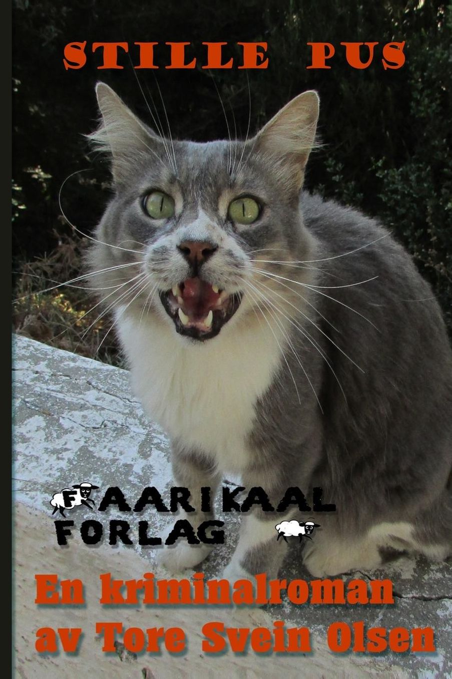 Stille pus