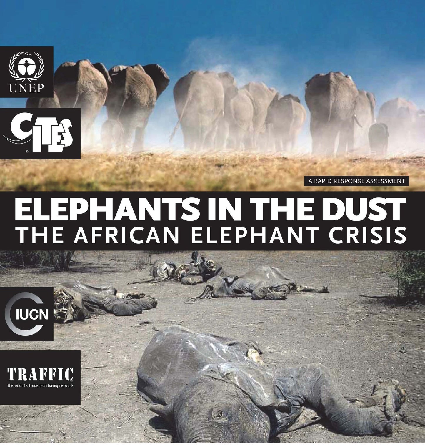 Elephants In The Dust: The African Elephant Crisis - A Rapid Response Assessment