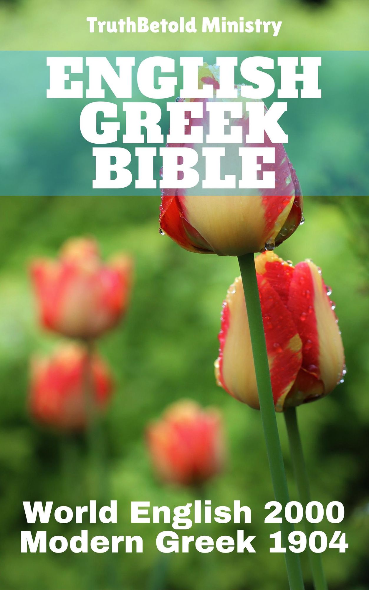 English Greek Bible: World English 2000 - Modern Greek 1904