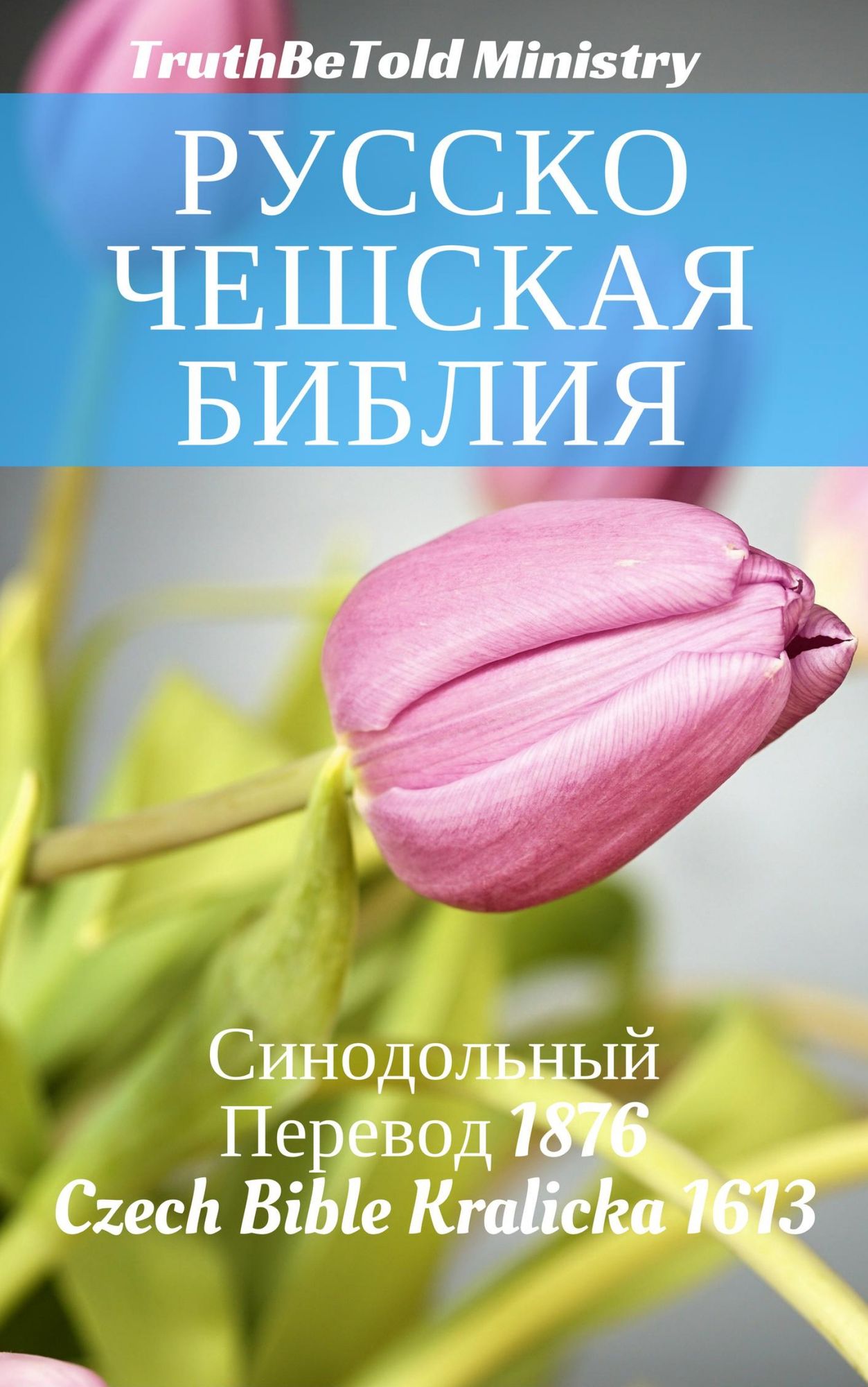 Русский Чешский Библия: Синодольный Переk