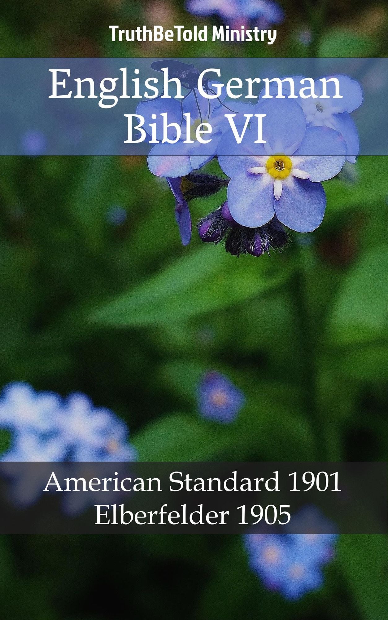 English German Bible VI: American Standard 1901 - Elberfelder 1905
