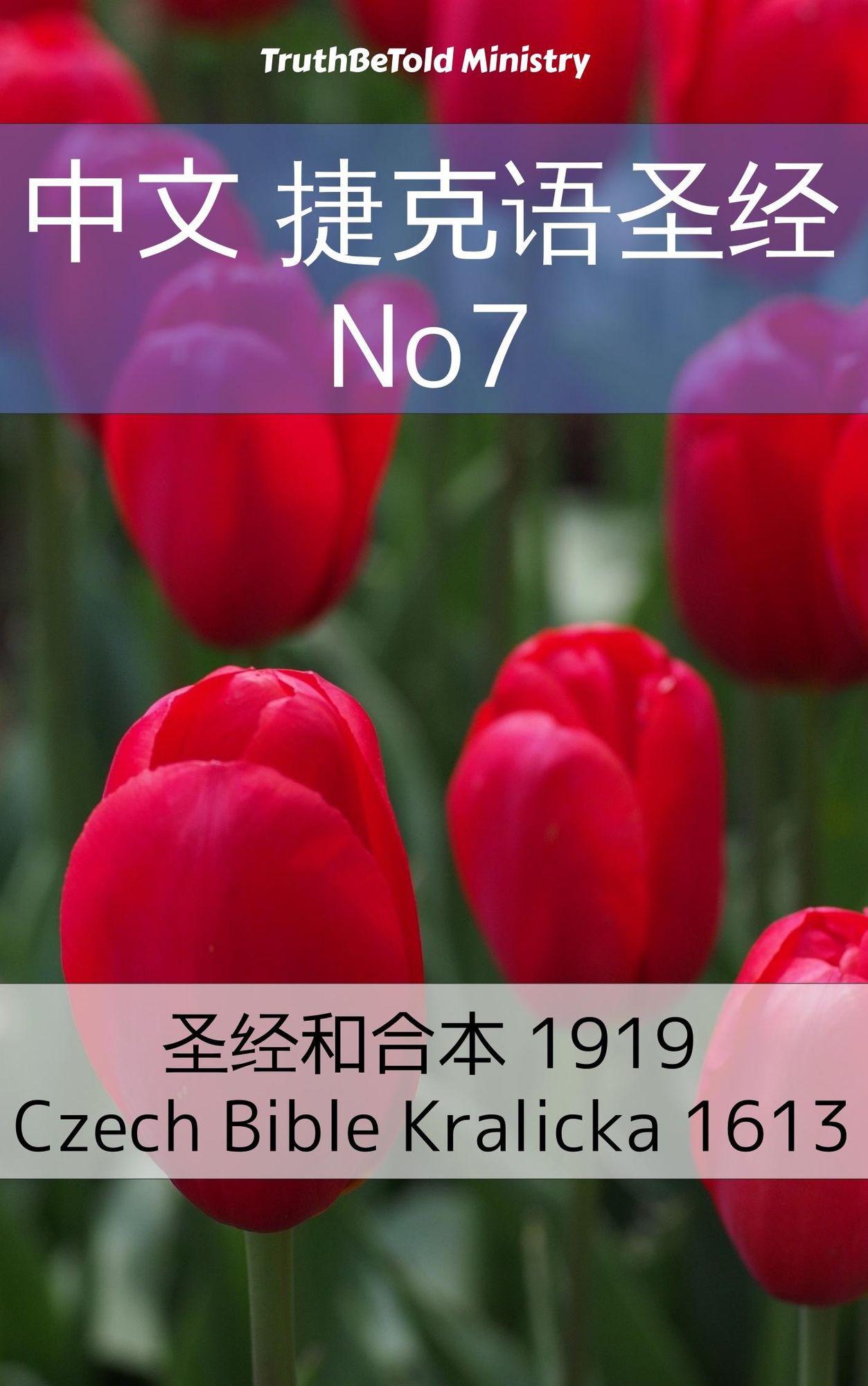 Untitled (Chinese)