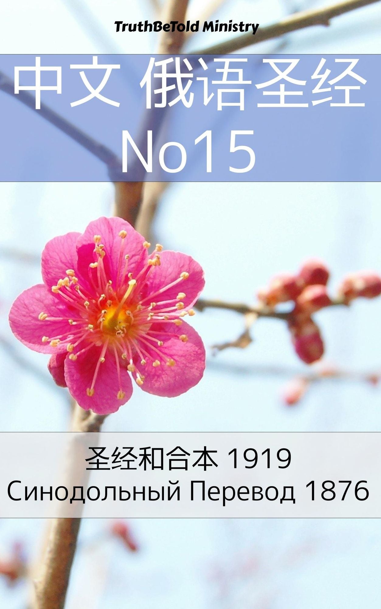 Untitled (Chinese)