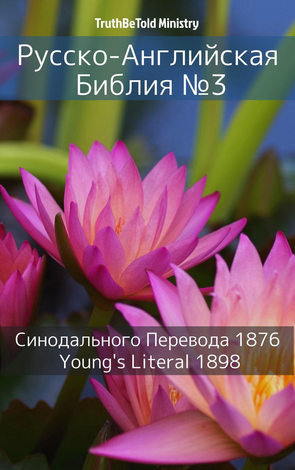 : ´s Literal 1898