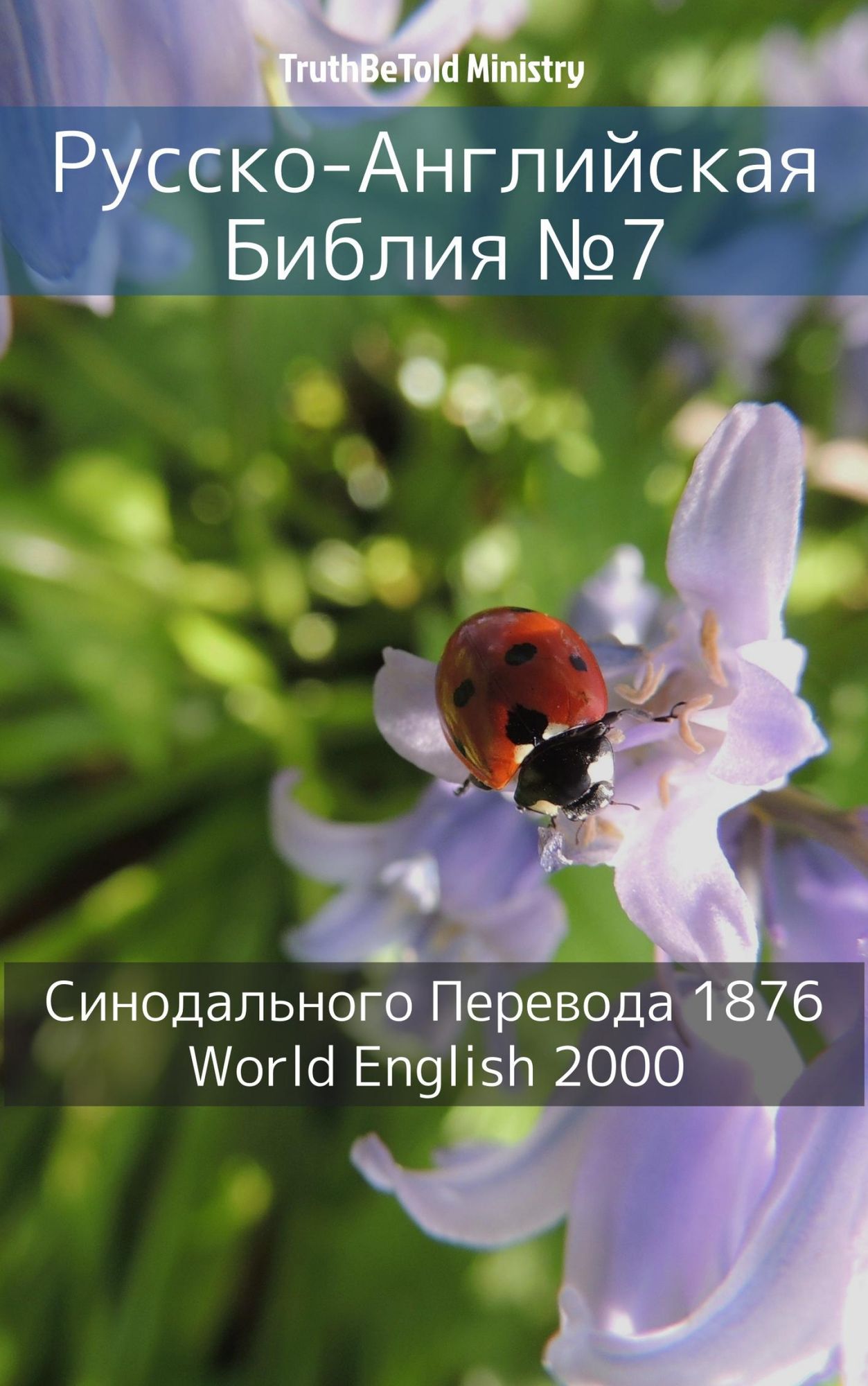 Untitled (Russian)