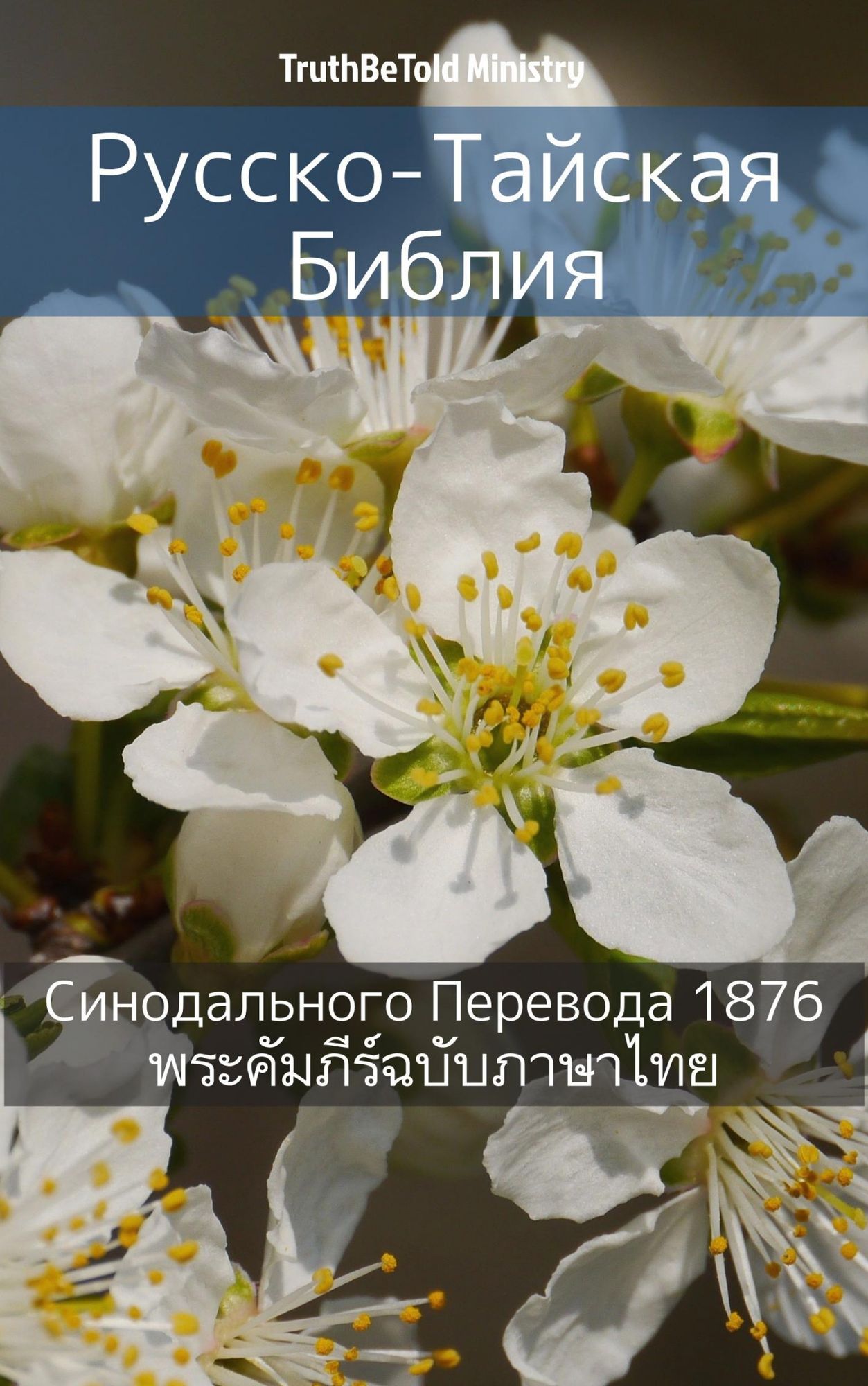 Untitled (Russian)