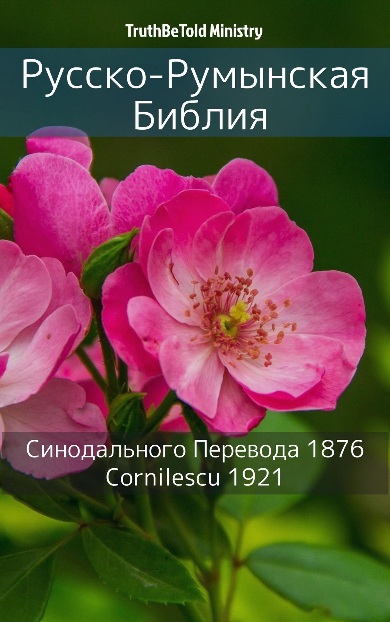 Untitled (Russian)