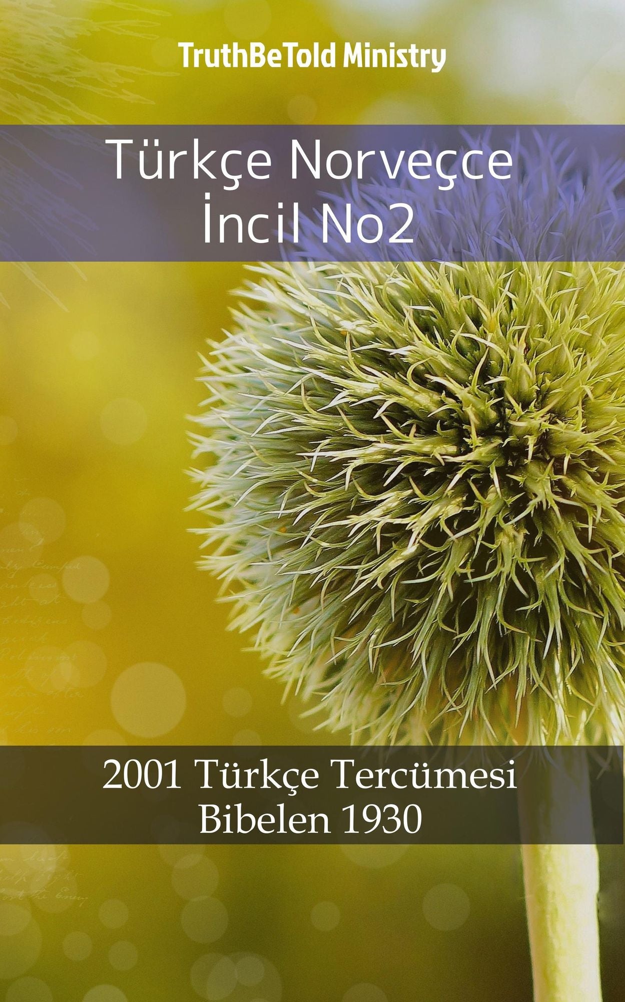 Türkçe Norveçce: 1878 Türkçe Tercümesi - Bibelen 1930