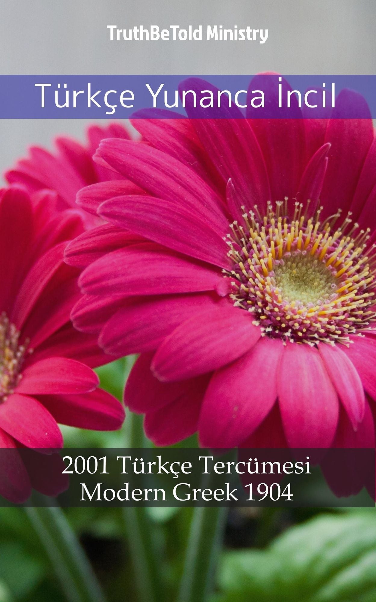 Türkçe Yunanca Incil: 1878 Türkçe Tercümesi - Modern Greek 1904
