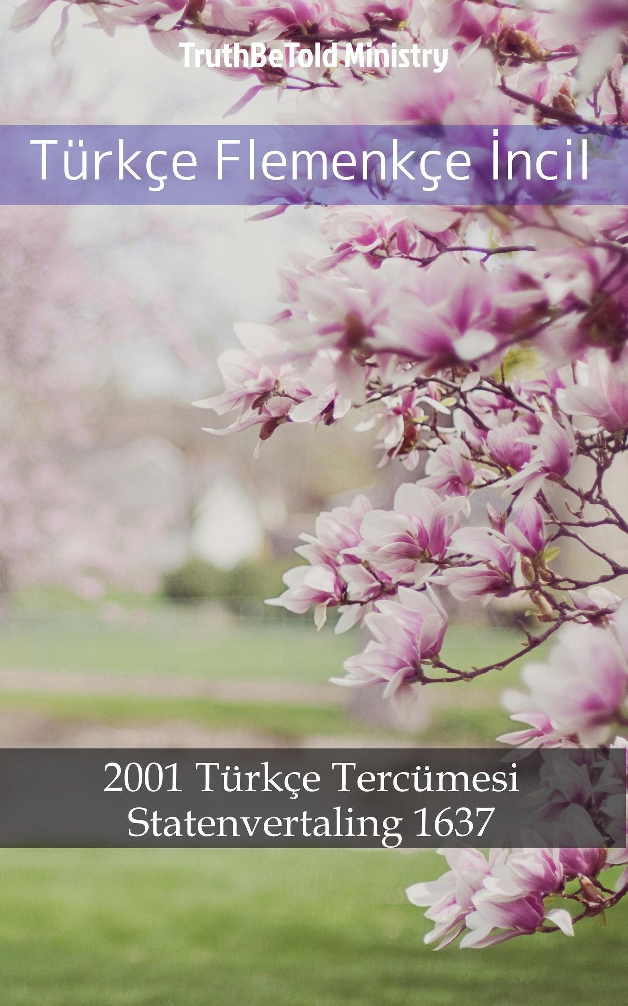 Türkçe Flemenkçe: 1878 Türkçe Tercümesi - Dutch Staten Vertaling 1637