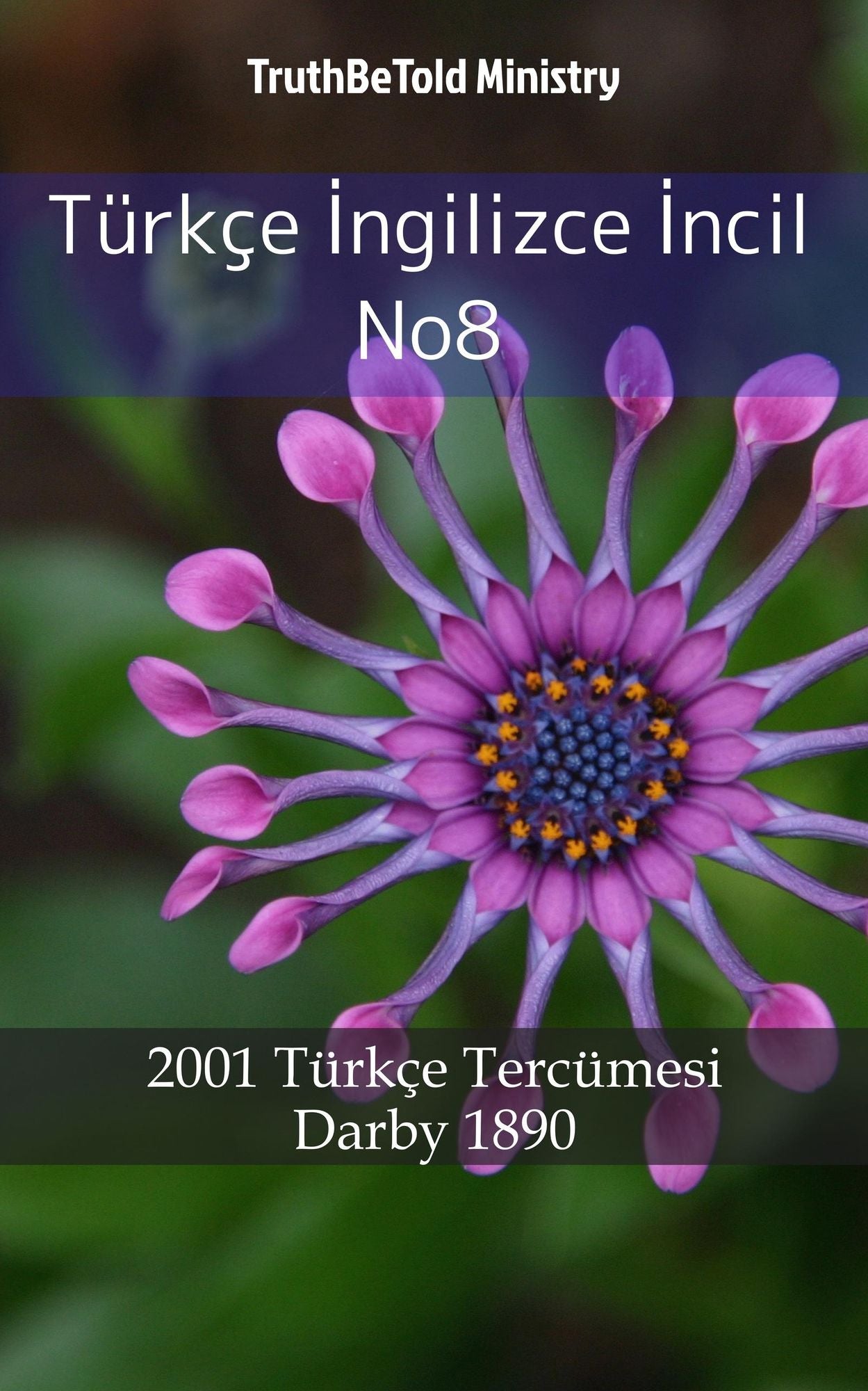 Türkçe Ingilizce Incil No8: 1878 Türkçe Tercümesi - Darby 1890