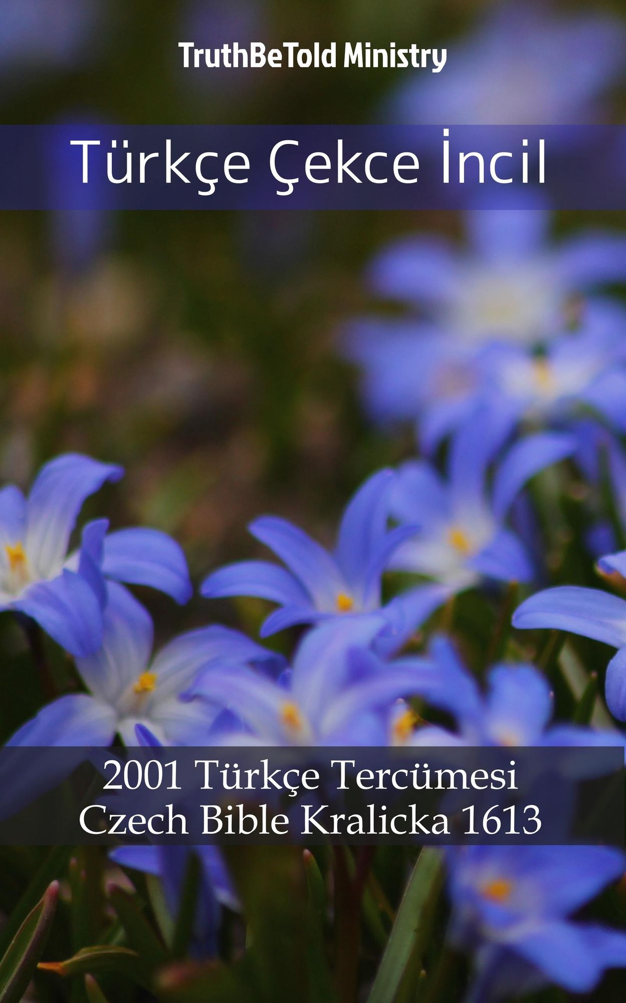 Türkçe Çekce: 1878 Türkçe Tercümesi - Czech Bible Kralicka 1613