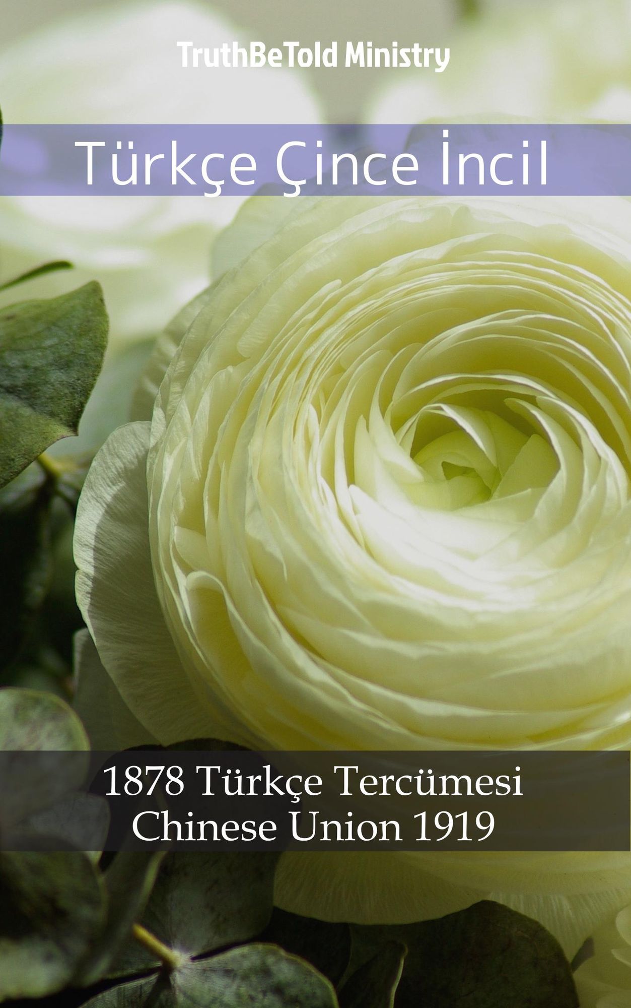 Türkçe Çince: 1878 Türkçe Tercümesi - Chinese Union 1919