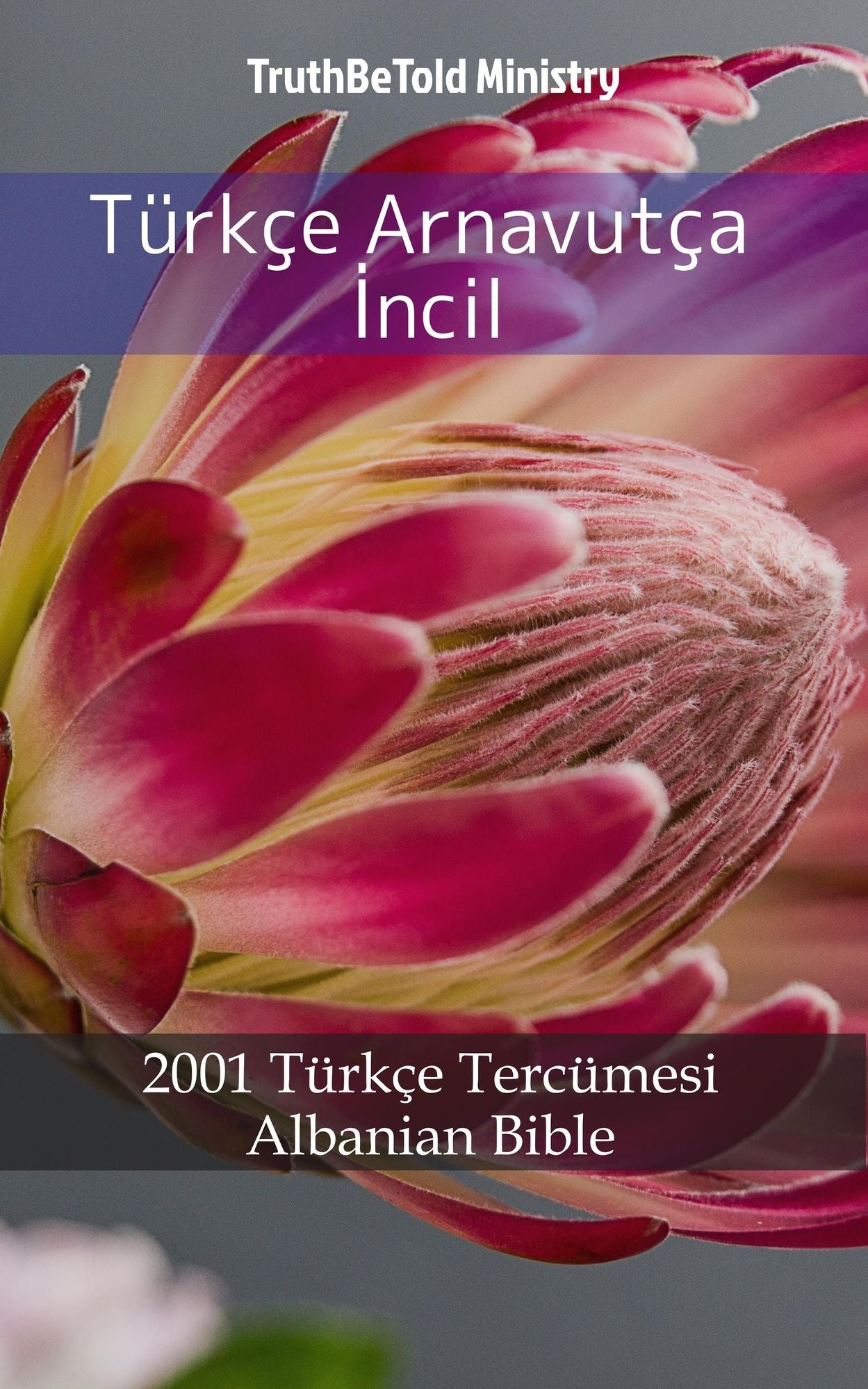 Türkçe Arnavutça: 1878 Türkçe Tercümesi - Albanian Bible