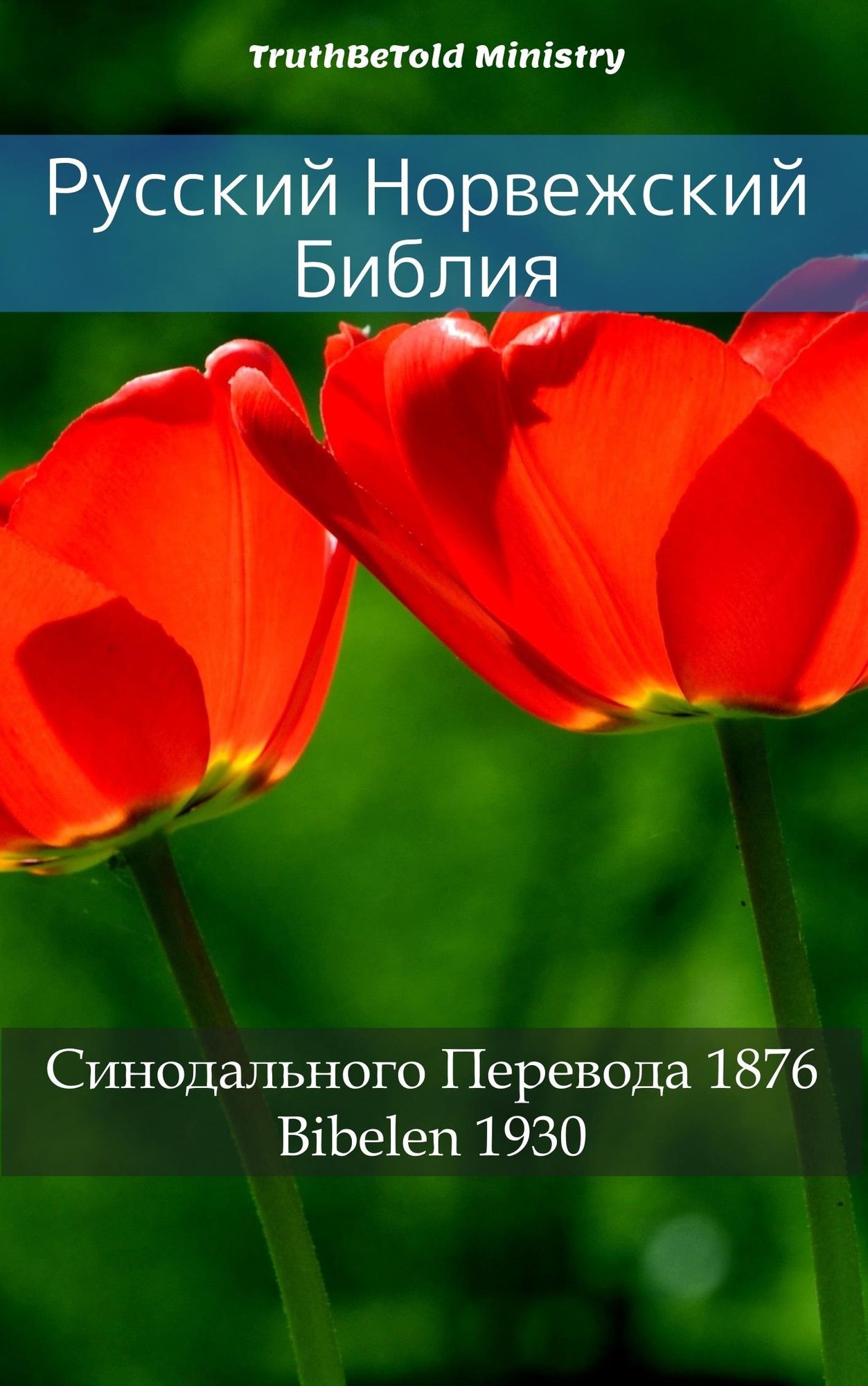 ??????? ?????????? ??????: ???????????? ???????? 1876 - Bibelen 1930