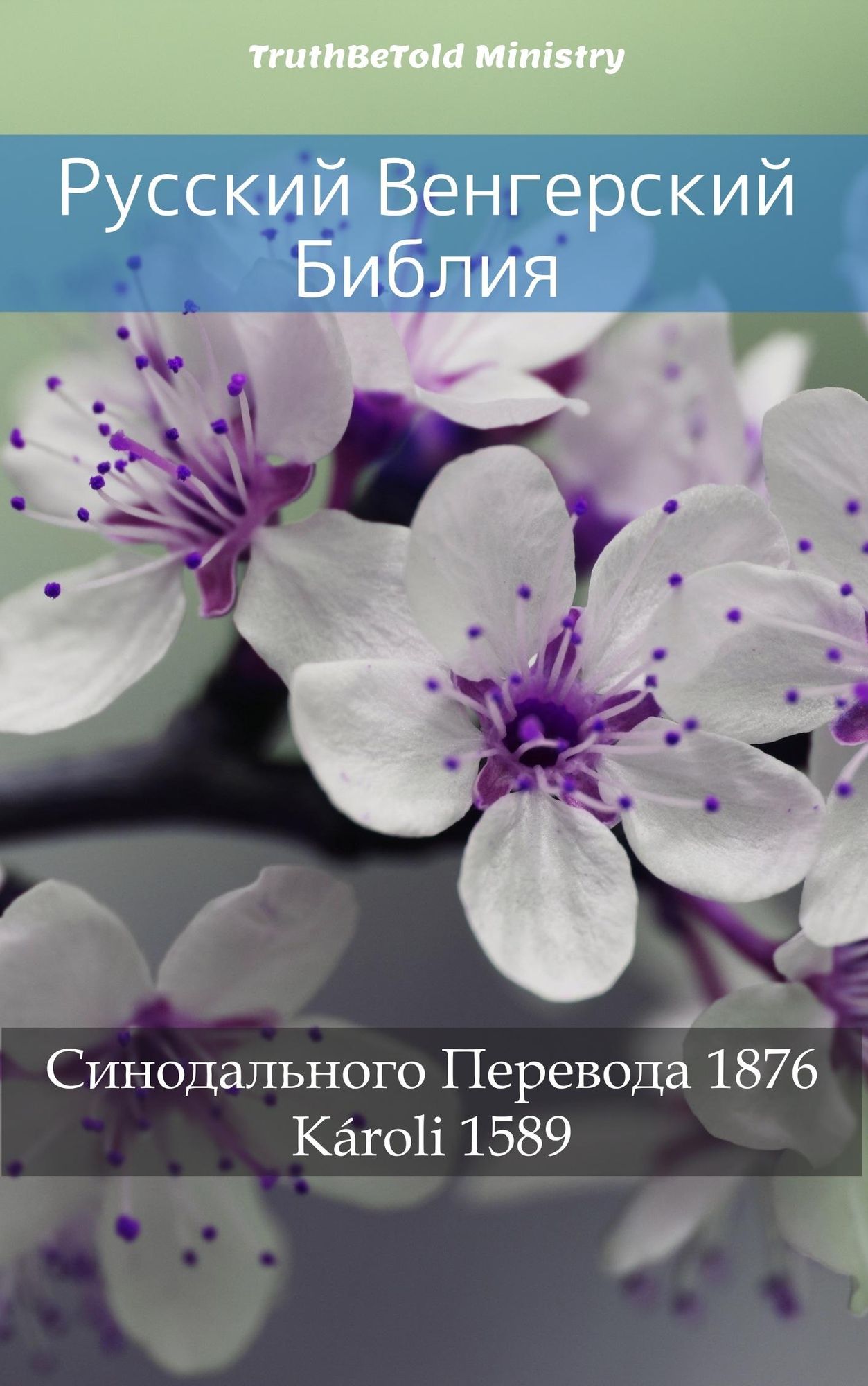 : ároli 1589