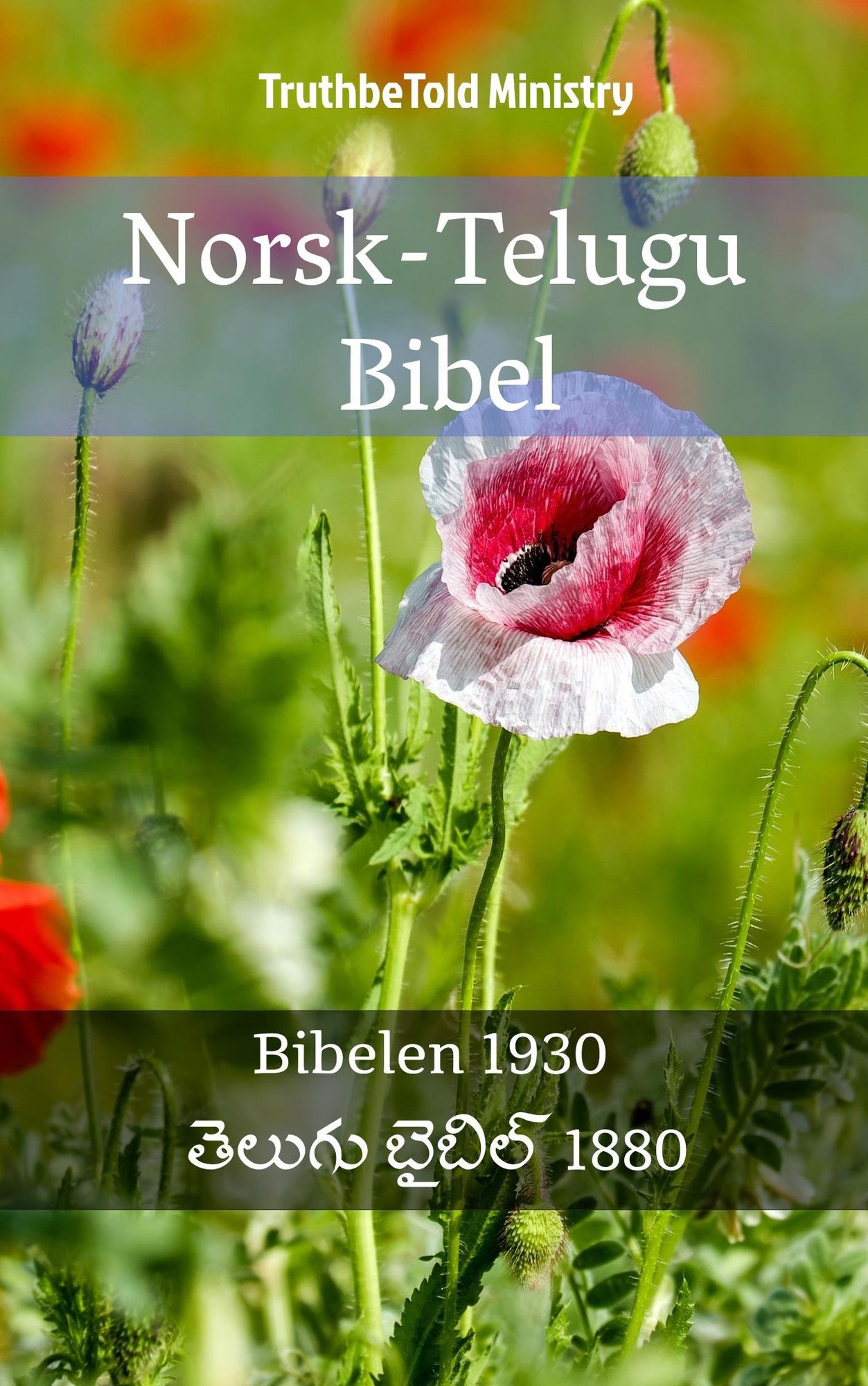 Norsk-Telugu Bibel: Bibelen 1930 -