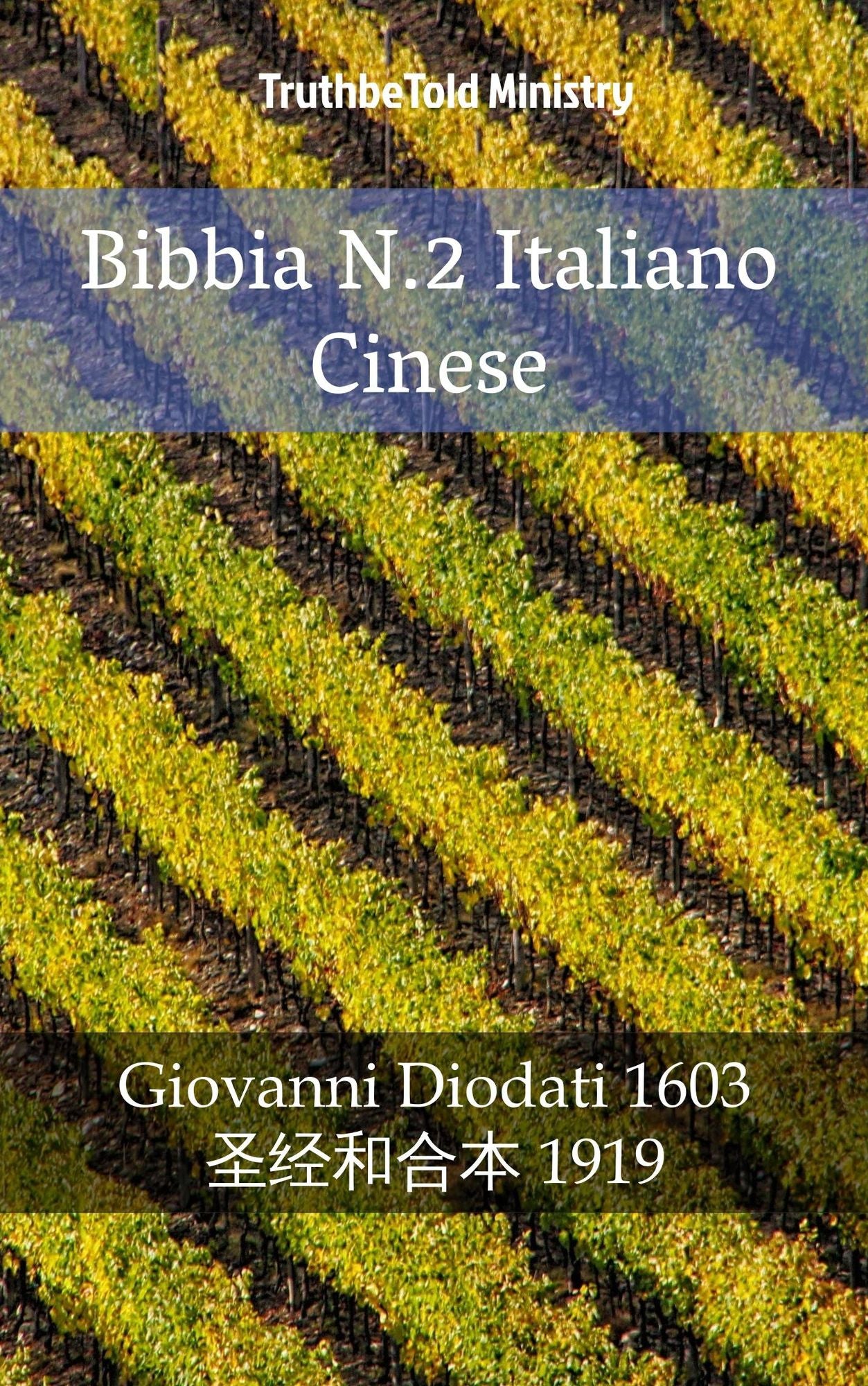 Bibbia N.2 Italiano Cinese: Giovanni Diodati 1603 - ??"??'??? 1919
