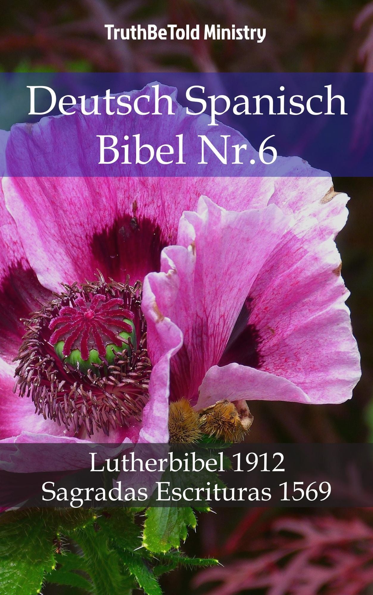 Deutsch Spanisch Bibel Nr.6: Lutherbibel 1912 - Sagradas Escrituras 1569