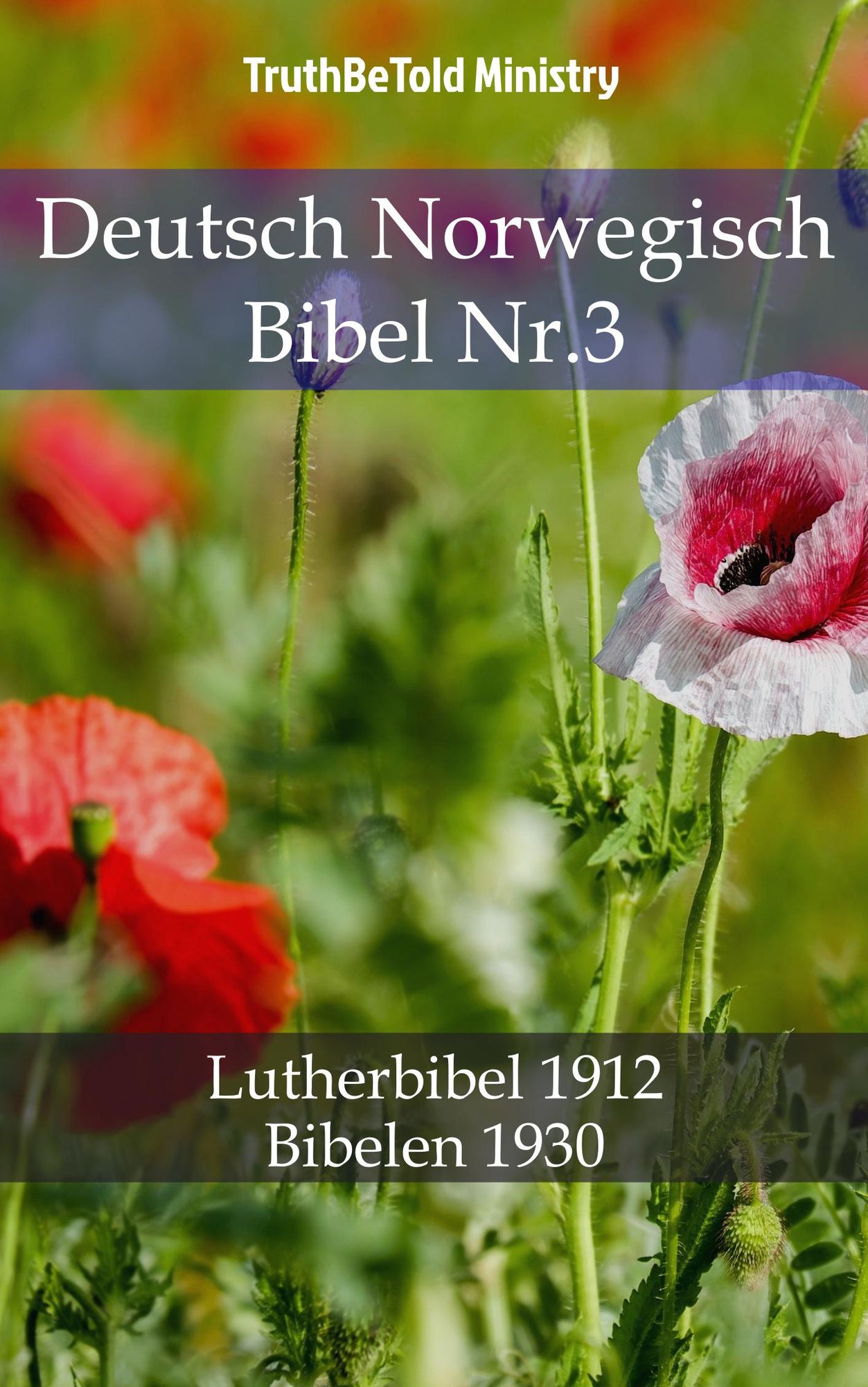 Deutsch Norwegisch Bibel Nr.3: Lutherbibel 1912 - Bibelen 1930