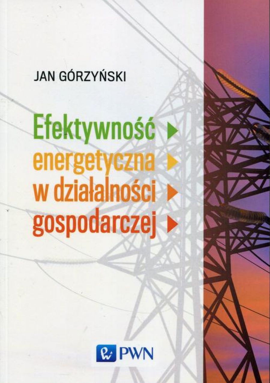 Efektywnosc energetyczna w dzialalnosci gospodarczej
